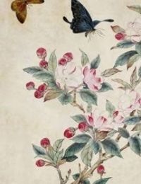 Mộng Điệp Kỳ Truyện