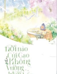 Nơi Nào Củi Gạo Không Vương Khói Bếp
