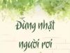 Đừng Nhặt Người Rơi Trên Đường