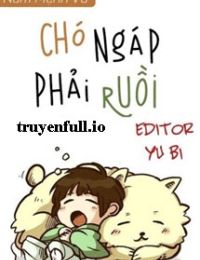 Chó Ngáp Phải Ruồi – Nam Mệnh Vũ